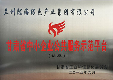 甘肃省中小企业公共服务示范平台（信息类）