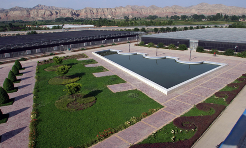 红古高原夏菜种苗繁育基地