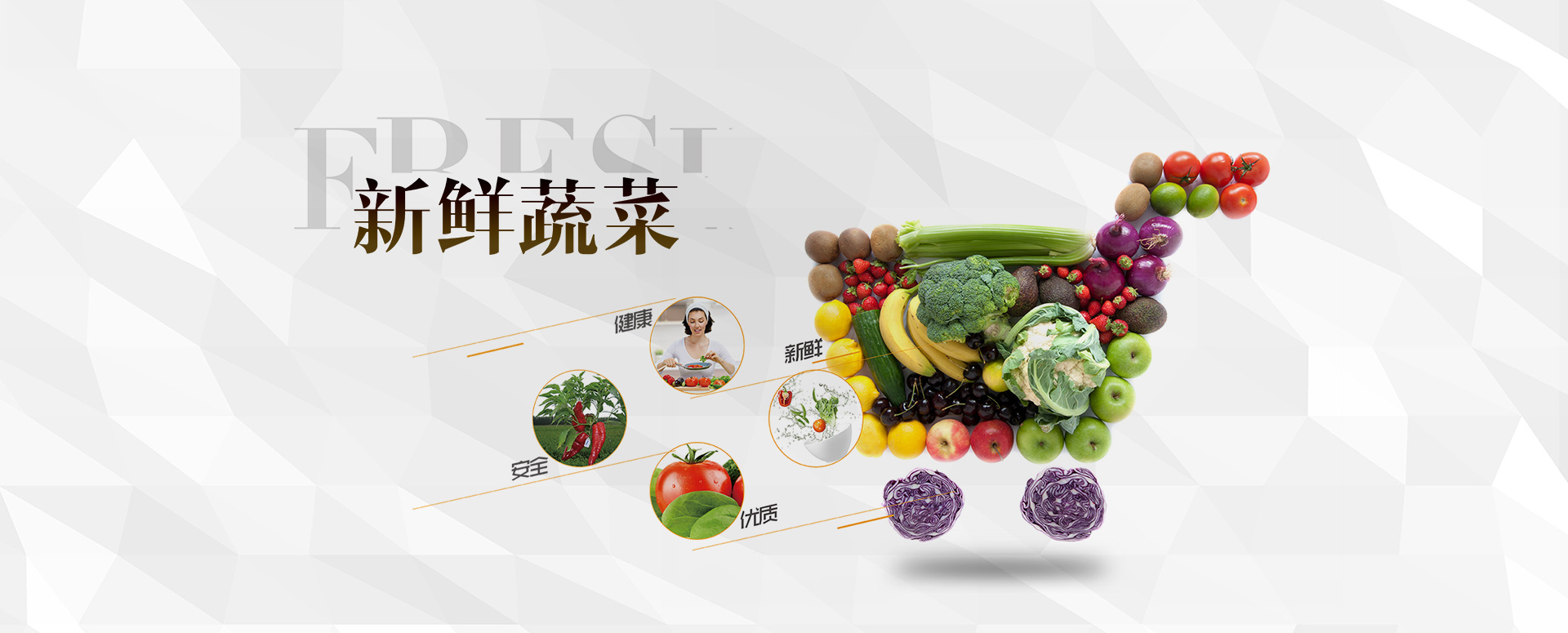 首页轮换图3